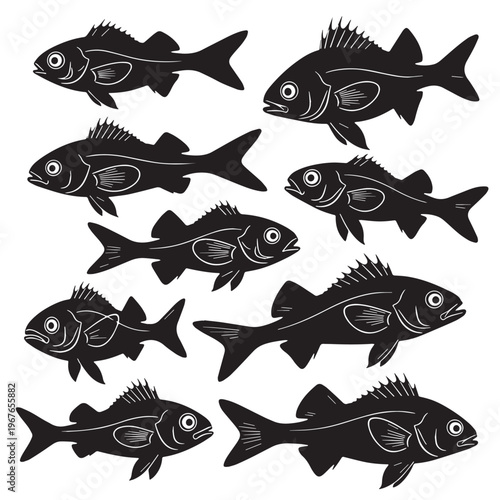 Black Hatchetfish Silhouette Vector, High Quality Illustration on White Background