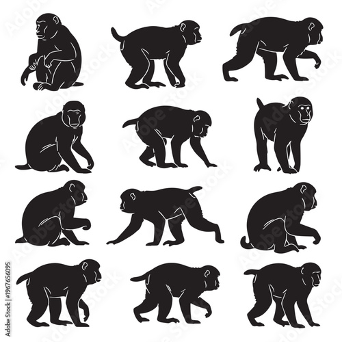 Black Japanese macaque Silhouette Vector, High Quality Illustration on White Background