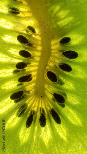 Close-up of a vibrant green kiwi slice, backlit to highlight its intricate seed pattern and translucent flesh.