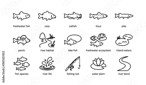 Freshwater fish and ecosystems icon set