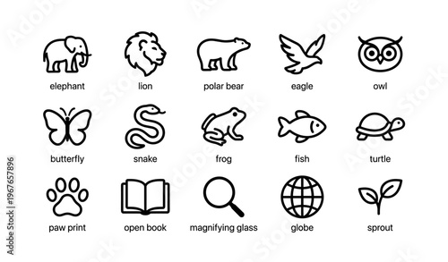 Animal icons collection featuring elephant, lion, owl, and more with symbols of nature and exploration
