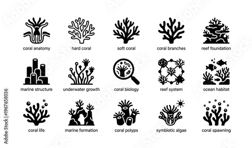 Coral icons set: anatomy, growth, marine structure, symbiotic algae, ocean habitat