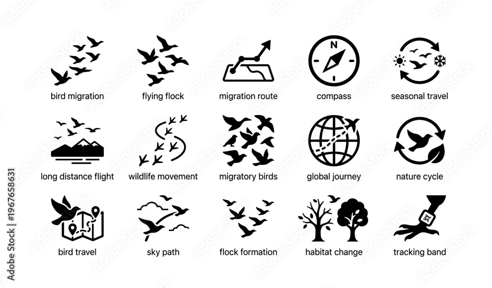 Fototapeta premium Bird migration icons: flock movement, seasonal travel, compass, global journey