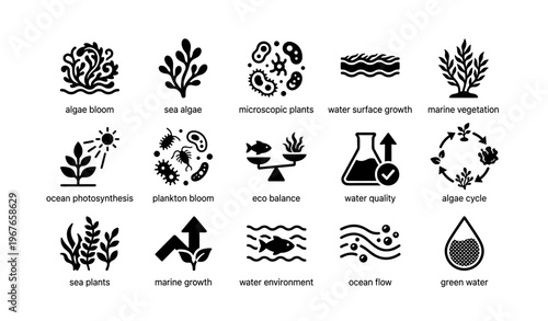 Marine ecosystem icons depicting algae, plankton, water quality, and eco balance