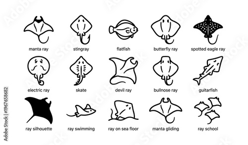 Collection of rays and skate icons: manta, stingray, spotted eagle, electric, and more