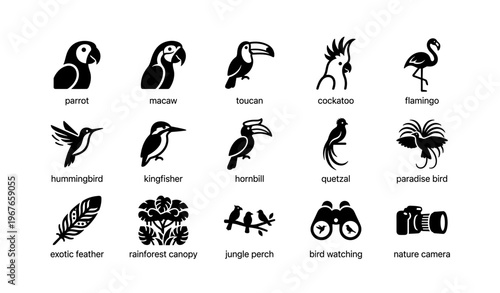 Stylized bird icons with parrot toucan flamingo and more in black and white design