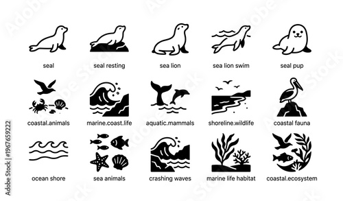 Seals and marine life icons: coastal wildlife and ecosystem symbols