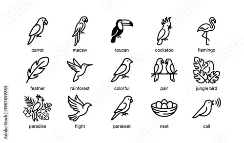 Minimalist bird icons featuring parrots, toucans, cockatoos, and more