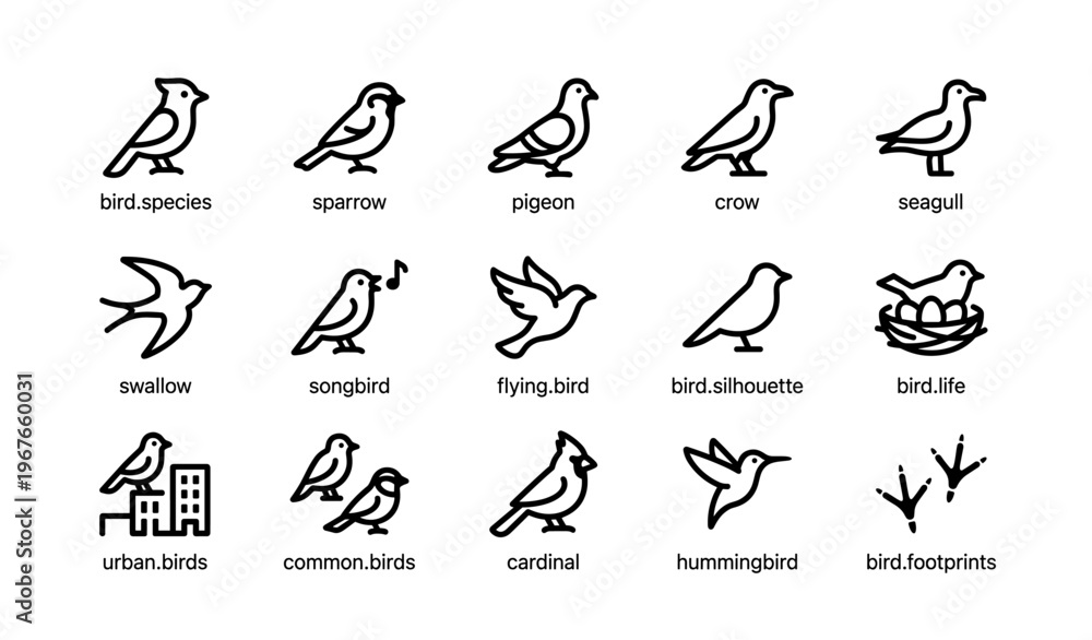 Fototapeta premium Icon set of various bird species: sparrow, pigeon, crow, seagull, swallow, songbird, cardinal