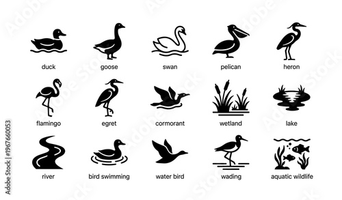 Silhouette icons of water birds and wetland wildlife