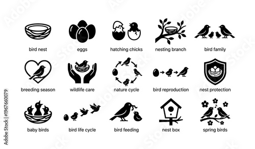 Bird nest icons: eggs, hatching chicks, family, and wildlife care symbols