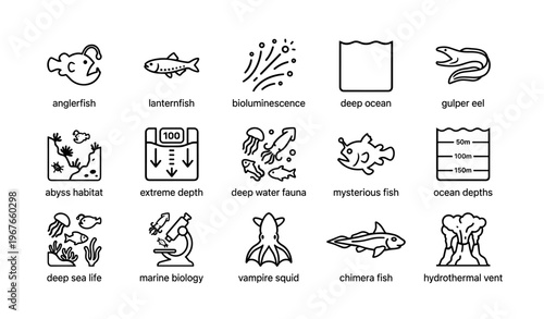 Deep ocean creatures and marine biology icons