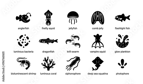 Collection of marine bioluminescent creatures including jellyfish, squid, and anglerfish