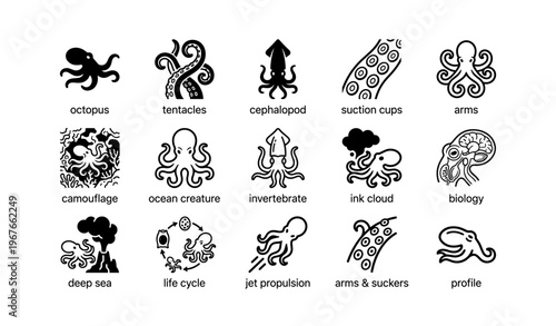Octopus icons set: tentacles, suction cups, ocean creatures, camouflage, biology symbols