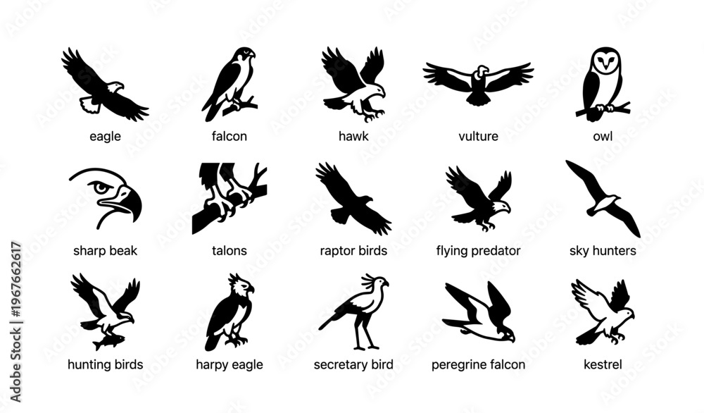 Fototapeta premium Silhouettes of birds of prey featuring eagles, falcons, hawks, and owls
