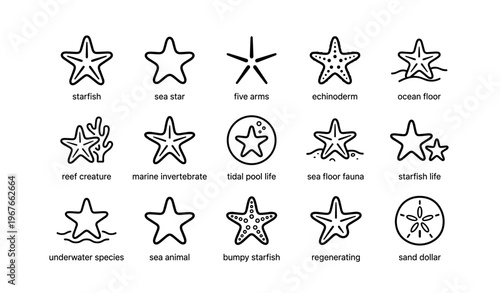 Starfish icons: marine life, echinoderms, ocean creatures, sea stars