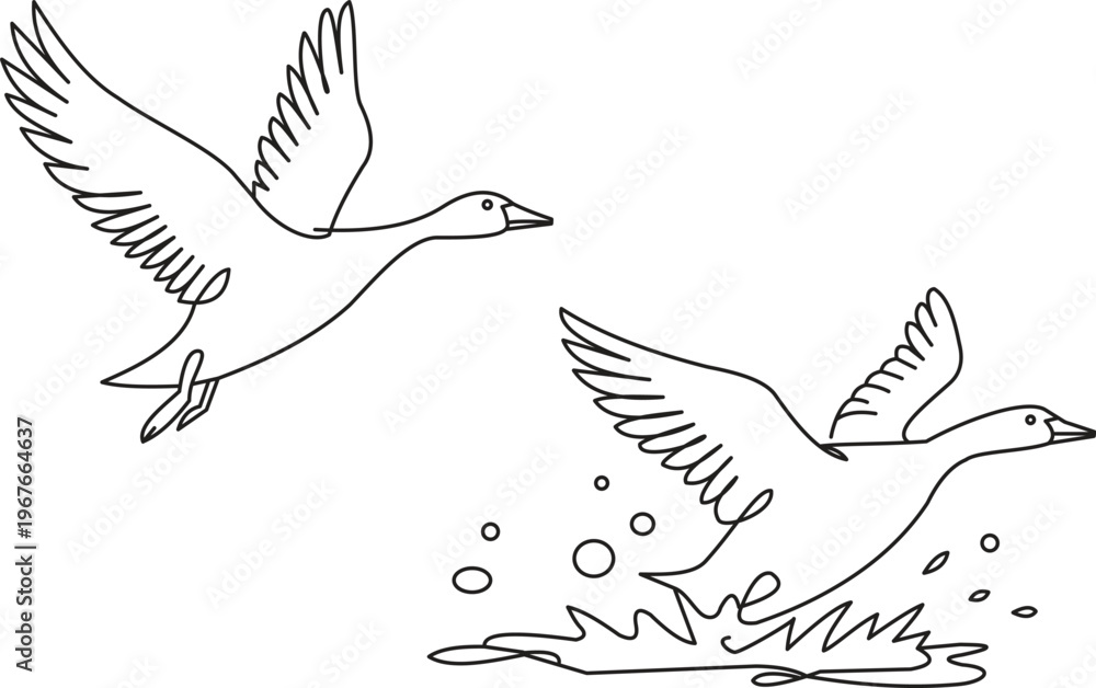 Obraz premium Flying goose birds line art illustration wildlife nature outline drawing
