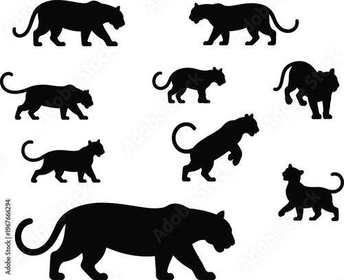 Big cat silhouettes collection, panther leopard feline walking and hunting poses isolated on white background, wildlife vector illustration set