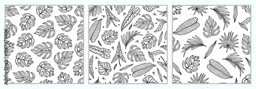Tropical plants seamless vector patterns set. Exotic leaves, monstera, coconut palm, banana tree. Hand drawn black and white ornaments. Floral silhouettes, botanical sketch. Background for print