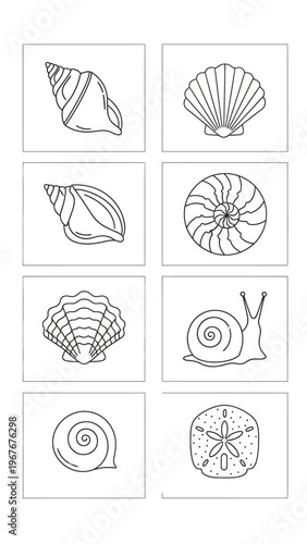 Collection of seashells and a starfish with detailed textures and natural colors for marine-themed