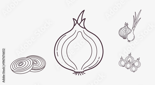 Onion Vegetable Illustration with Slices.