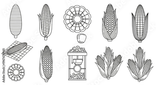 Various Corn and Plant Illustrations.