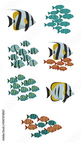 Colorful School of Fish with Different Patterns and Sizes Swimming Together in Clear Water
