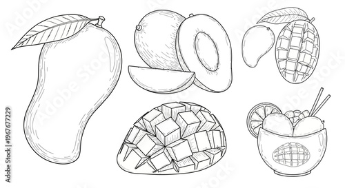 Detailed drawing of various peaches.