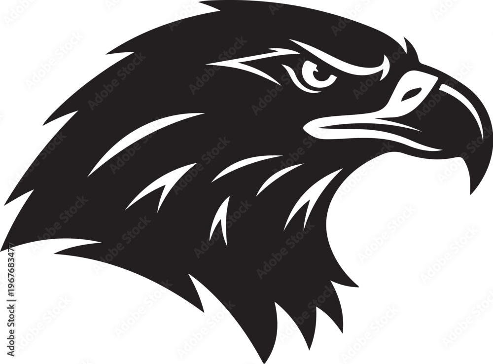 Fototapeta premium Black and white eagle head illustration with sharp feathers and gaze