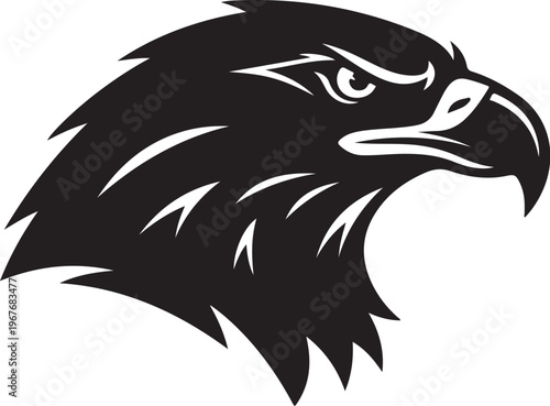 Black and white eagle head illustration with sharp feathers and gaze
