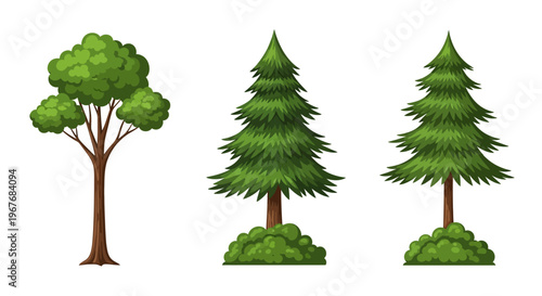 Cartoon illustration of three green trees including deciduous and pine varieties on white background.