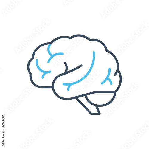 Brain anatomy with blue veins.