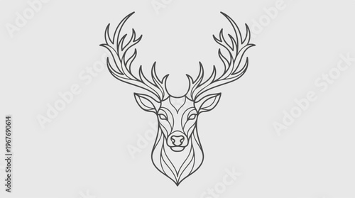 Deer Head with Large Antlers.