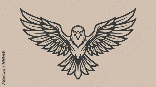 Eagle Bird Wings Spread Wide.