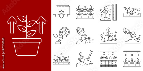 Set of line icons representing the process of plant growth and cultivation, from seeding to mature plants