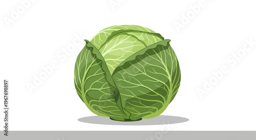 Fresh green cabbage isolated on white background.