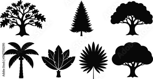 Black and white tree silhouettes set, various species including oak, pine, palm and ornamental trees, nature illustration isolated on white background vector collection