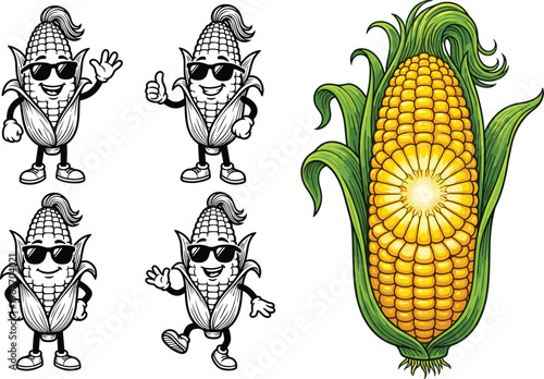 WebFunny corn cob mascot cartoon character wearing sunglasses in different poses and realistic ear of corn vector illustration set,