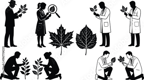 WebScientist and botanist silhouette set researching plants, examining leaves with magnifying glass, biology laboratory research, and agriculture science vector illustration,
