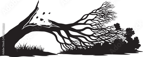 Fallen Tree Silhouette with Broken Branches and Falling Leaves in a Grassy Field
