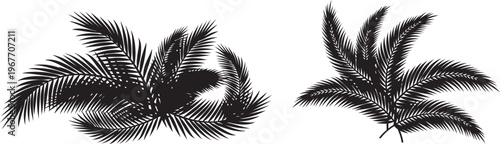Palm Frond Silhouettes Tropical Foliage Detail Isolated Vector Graphics Minimalist Style