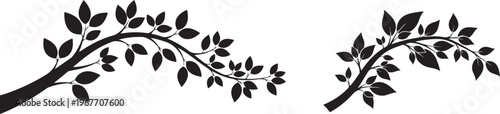 Silhouetted Tree Branches with Leaves Against White Background Minimalist Design Graphic Element