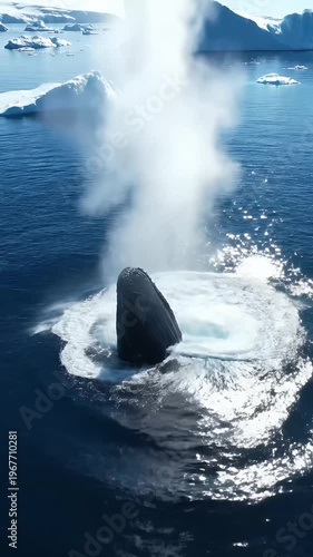 Whale Spouting Water Icebergs Blue Ocean Water Cinematic Footage