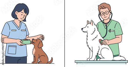 Veterinarian caring for dogs, pet feeding and medical checkup concept with animal clinic professionals, veterinary healthcare service, pet wellness and treatment flat illustration