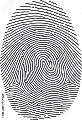 A detailed fingerprint pattern showcasing intricate whorl and ridge structures on a human fingertip Vector