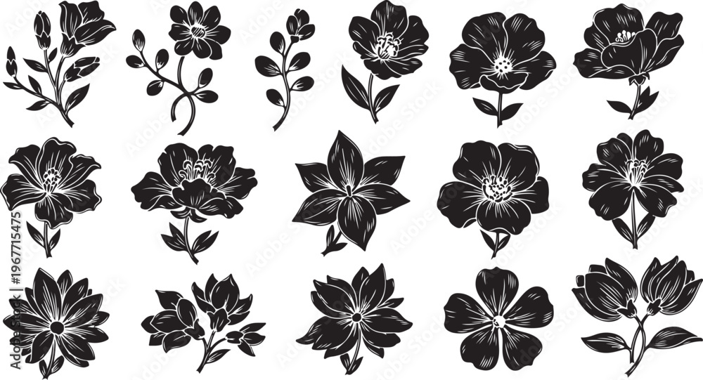 Obraz premium Black and white floral illustrations on white background set