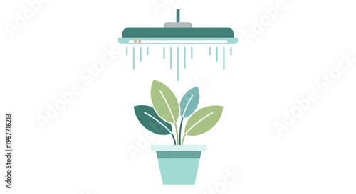 Plant in pot under shower head. Vector Illustrations. EPS Editable