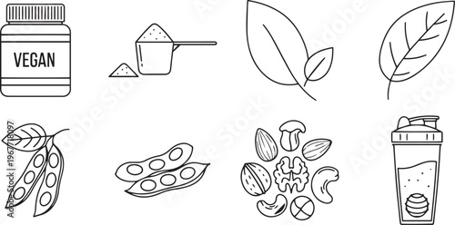 Vegan protein powder sources plant based nutrition for health fitness