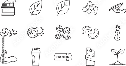 Vegan protein powder sources plant based nutrition for health fitness