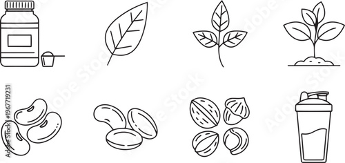 Vegan protein powder ingredients natural plant based nutrition for health wellness